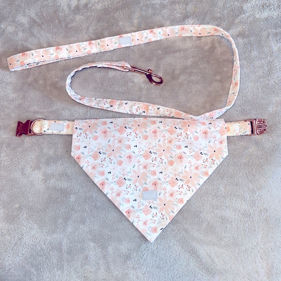 Set of dog collar bandana and leash
